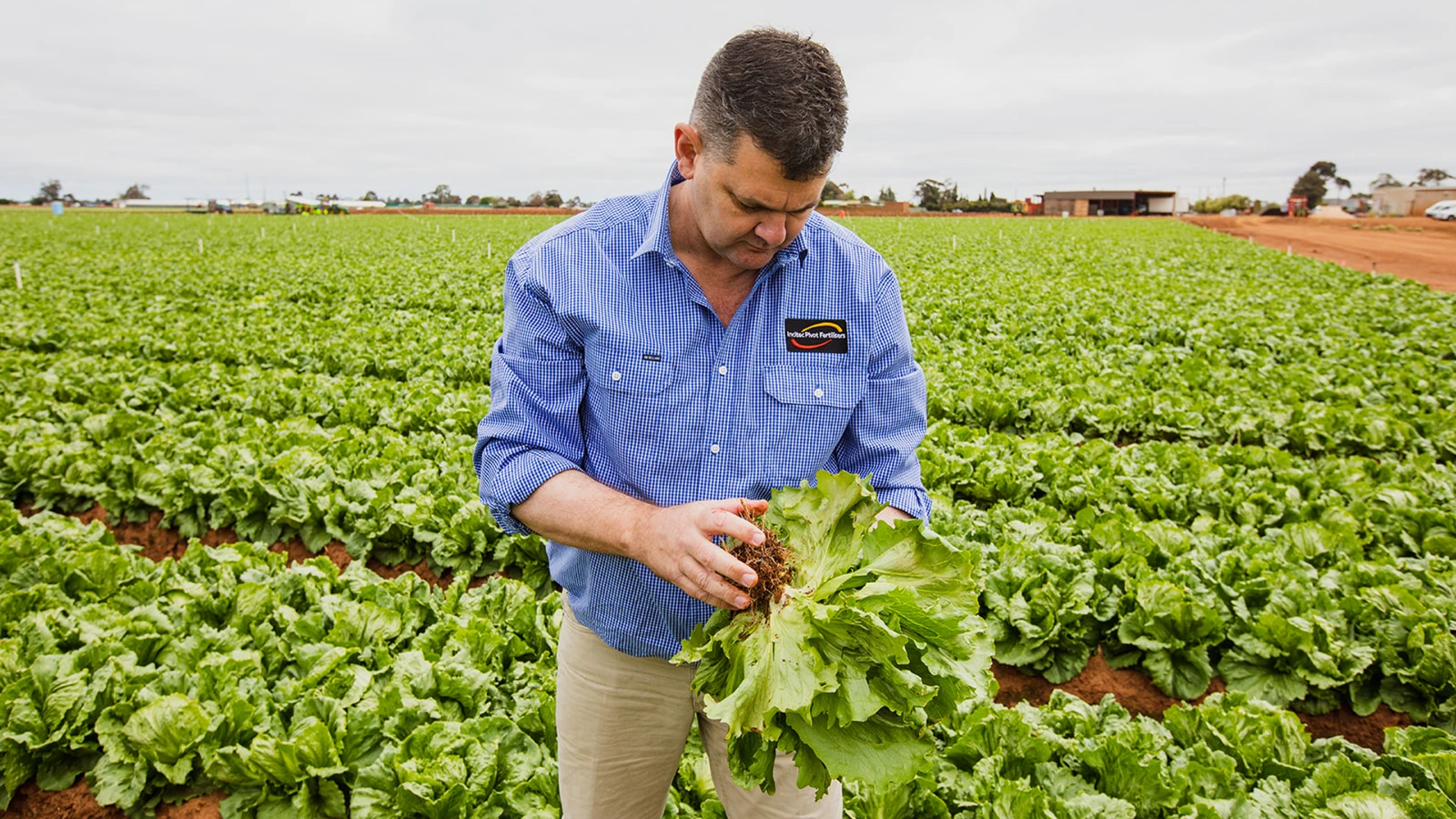 Incitec Pivot Fertilisers · 设计展示