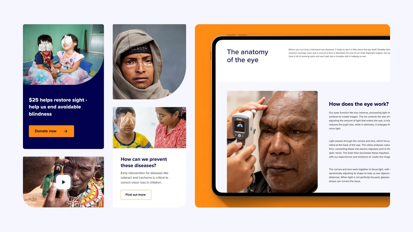 The Fred Hollows Foundation · 设计展示