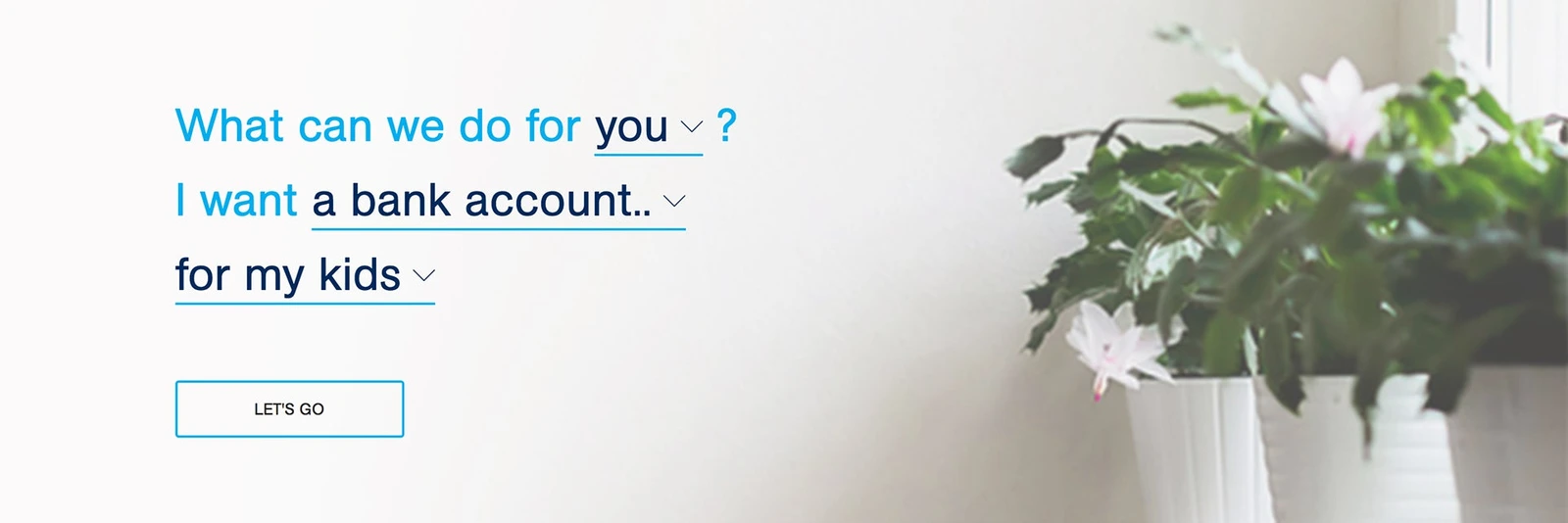 Hume Bank · Design showcase
