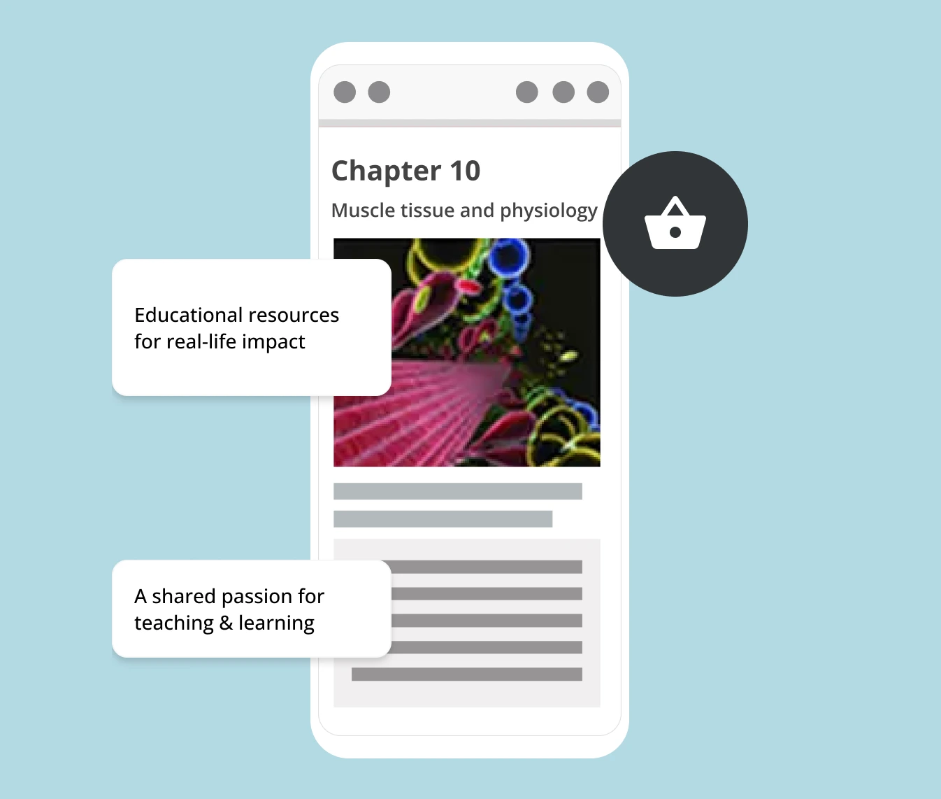 Pearson Australia Schools · 设计展示