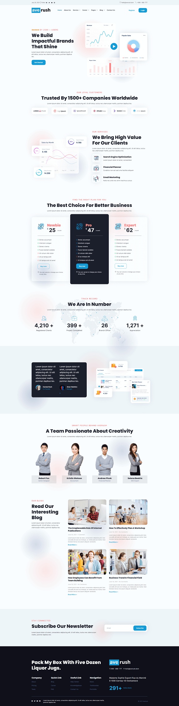 Averush Digital Marketing & Creative Agency Elementor Template Kit — 首页
