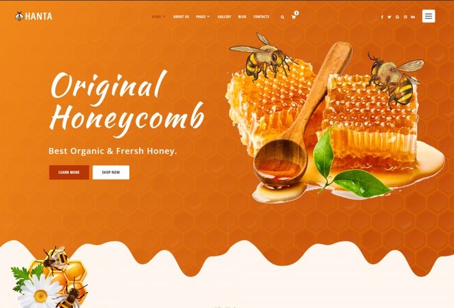 Hanta - Beekeeping and Honey Shop