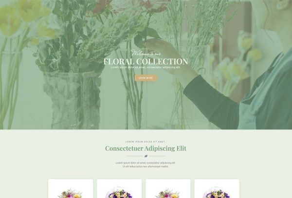 Monty Florist