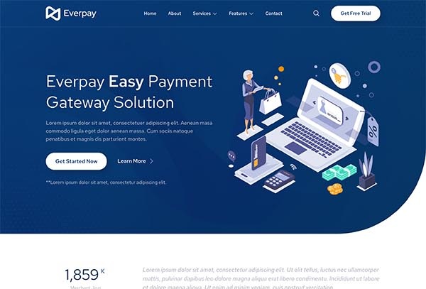 Everpay – Online Payment Gateway & Fintech Elementor Template Kit