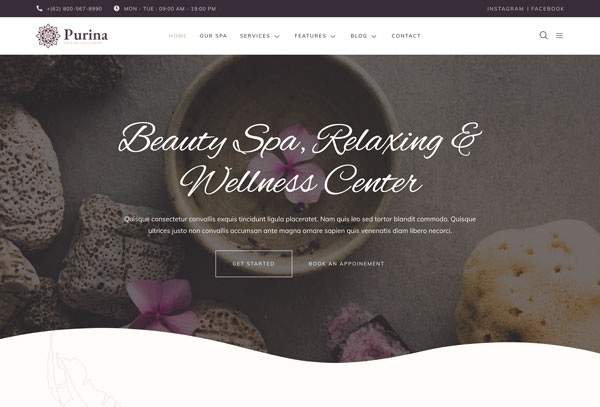 Purina - Spa & Wellness Elementor Template Kit