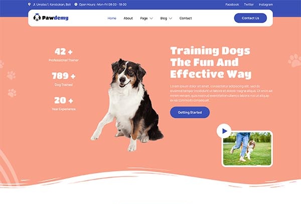 Pawdemy – Pet Training Academy Elementor Template Kit