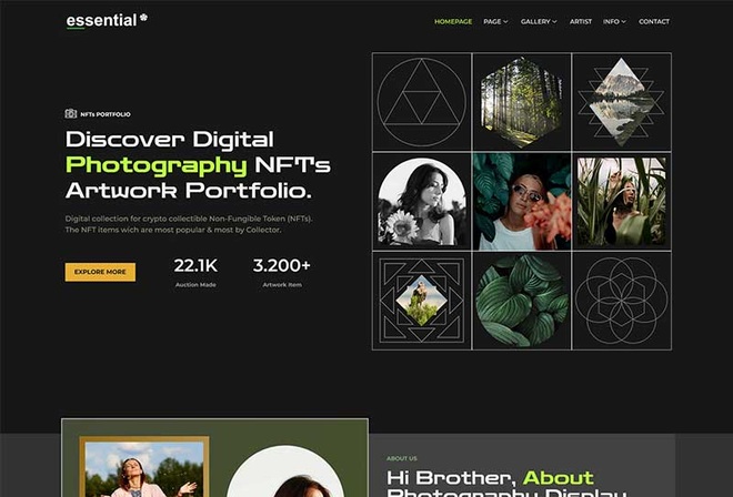 Essential - Photography NFT Portfolio Elementor Template Kit