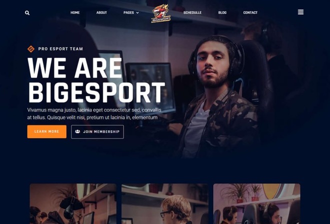 Bigesport
