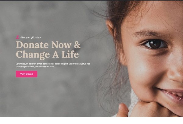 NGOO - Non-profit Charity Template Kit