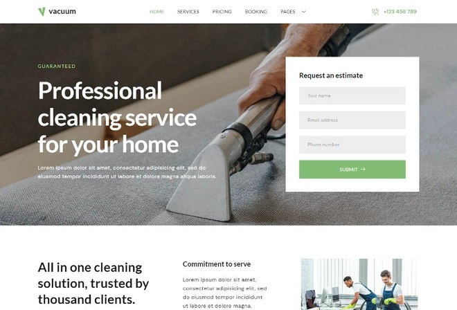 Vacuum Cleaning Services