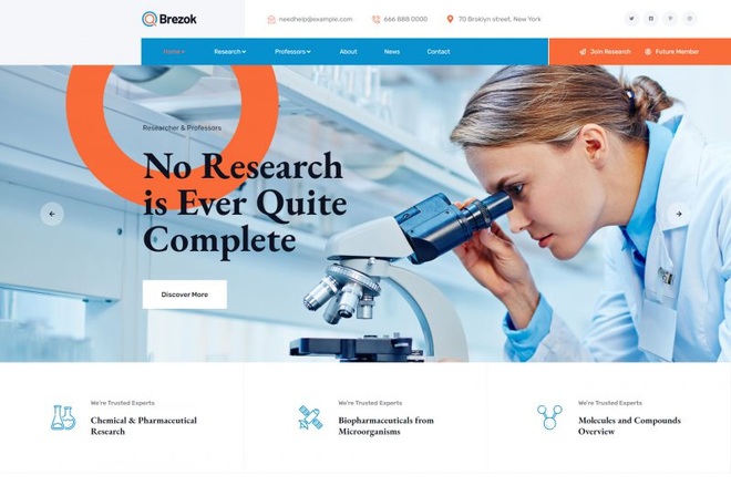 Brezok - Researcher & Professors