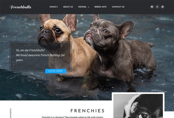 FrenchBulls